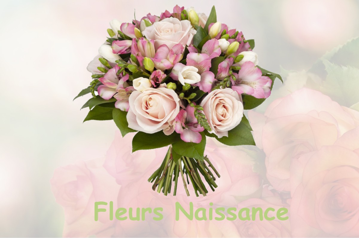 fleurs naissance NASSIET