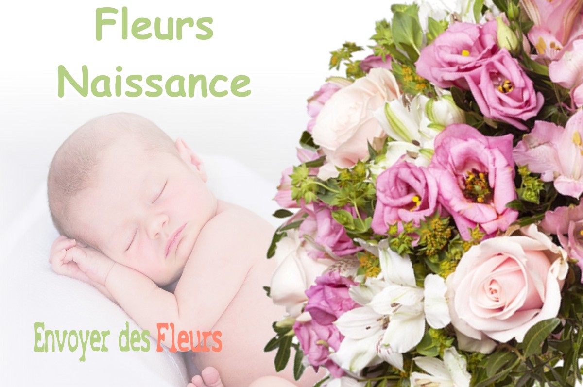 lIVRAISON FLEURS NAISSANCE à NASSIET